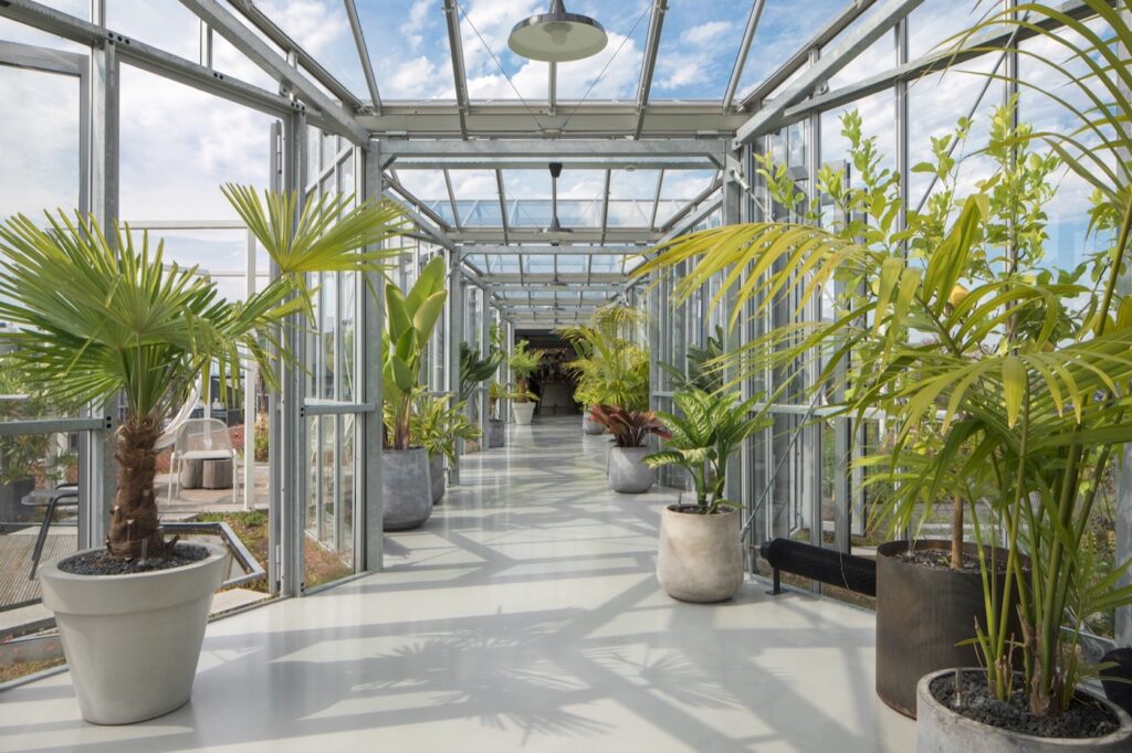 zoku-amsterdam-rooftop-terrace-16