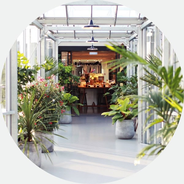 Zoku Amsterdam Greenhouse