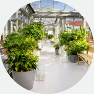 Zoku Copenhagen Greenhouse
