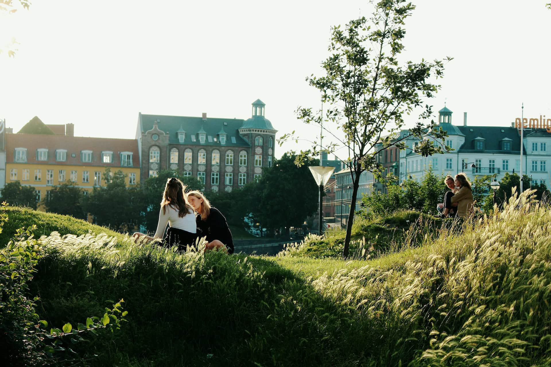 People sitting in a Copenhagen green space.