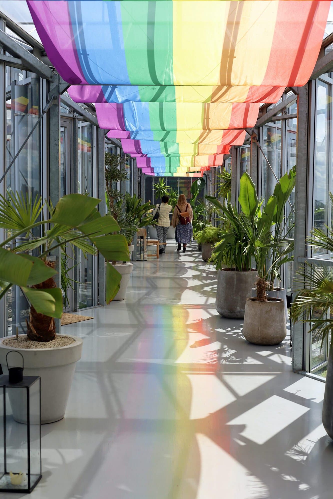 Pride flag in the Greenhouse at Zoku Amsterdam.